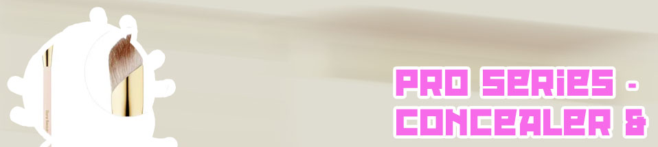 Best blending brush for concealer